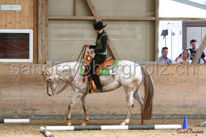 28-ApHC OT_107.jpg